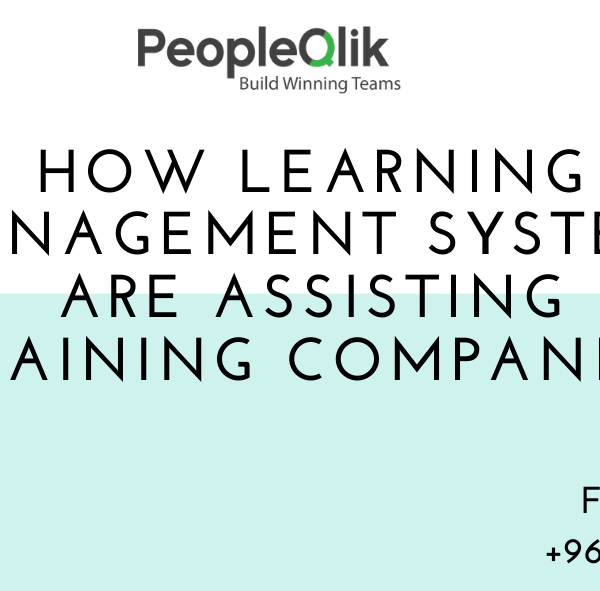 How Learning Management Systems are Assisting Training Companies
